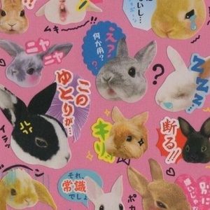 Meet your Posher, Carmela